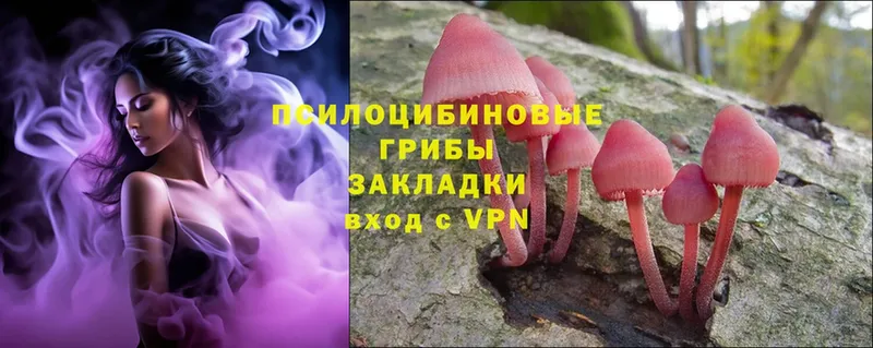 Галлюциногенные грибы Psilocybe  что такое наркотик  Гдов 